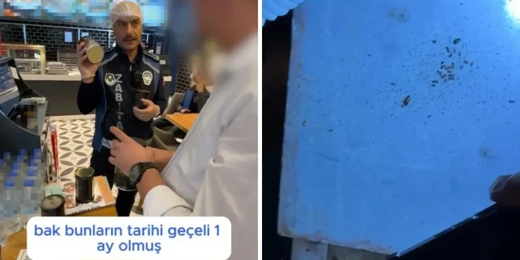 Controllo di vigilanza a Hatay: infestazione di insetti scoperta in ristorante di centro commerciale