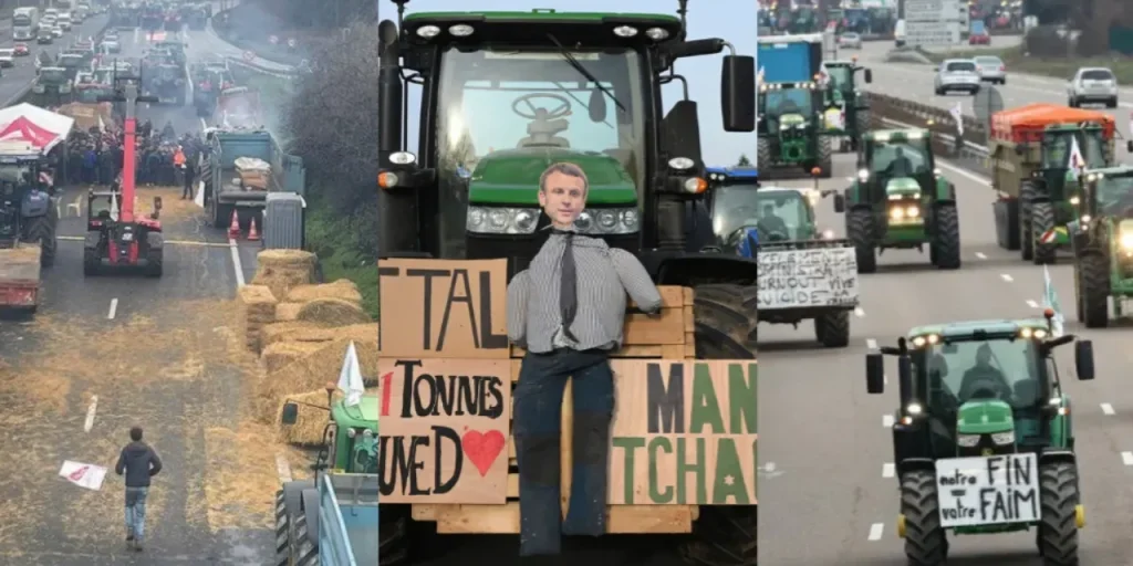 Agricoltori francesi bloccano autostrade per opporsi allo stordimento di massa degli animali