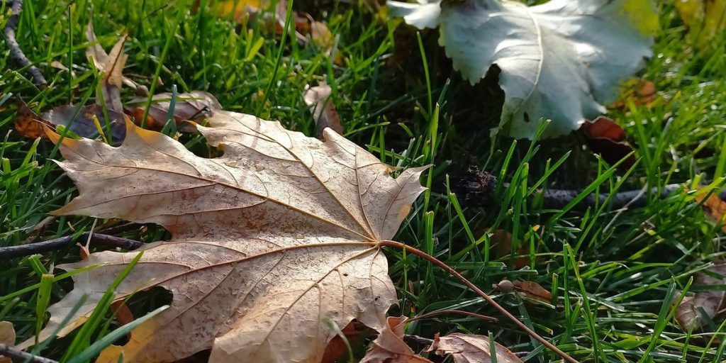 Вильфанд предупредил жителей некоторых регионов России о серьезной похолодании