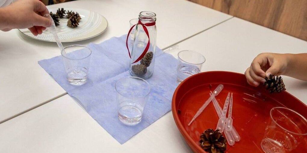 Дети из детского сада № 50 изучают природу в новом образовательном центре