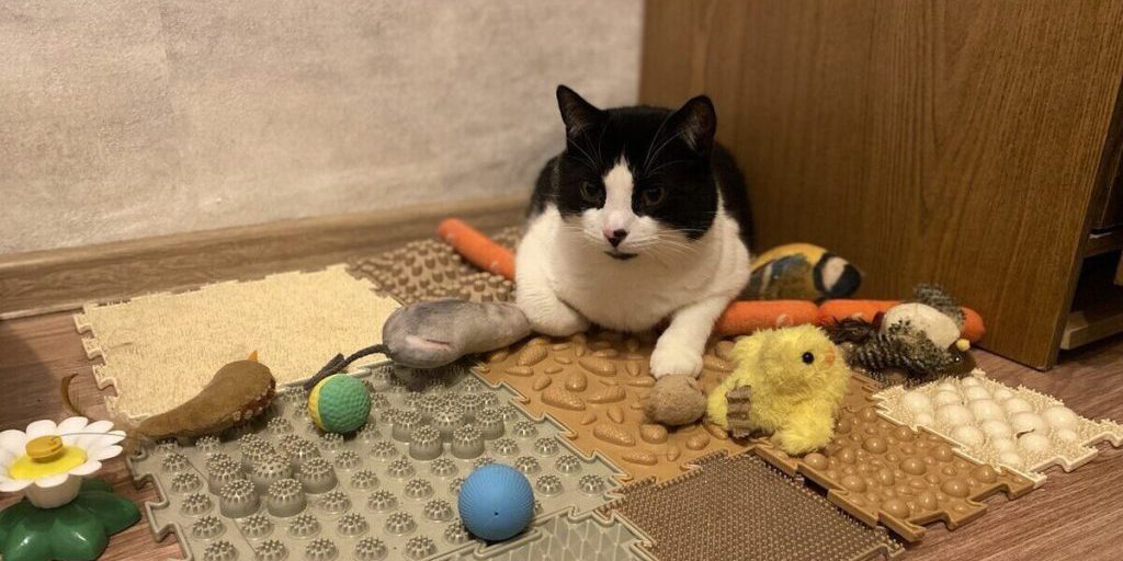 Pericoli Nascosti nei Giocattoli per Animali Domestici: Come Proteggere la Salute dei Vostri Amici a Quattro Zampe