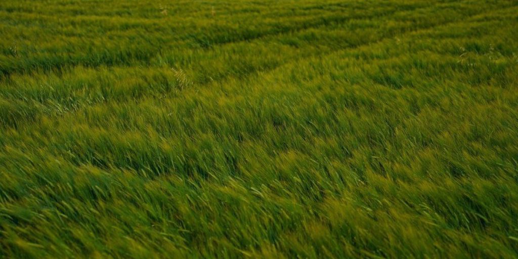 Суд оштрафовал тульского землевладельца за заброшенные угодья