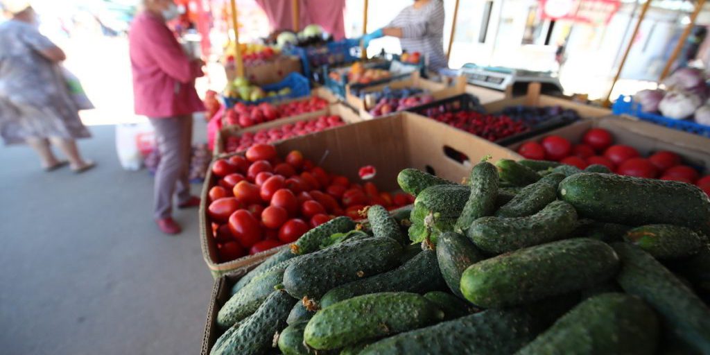 Эксперты подтвердили безопасность и качество волгоградских овощей и бахчевых