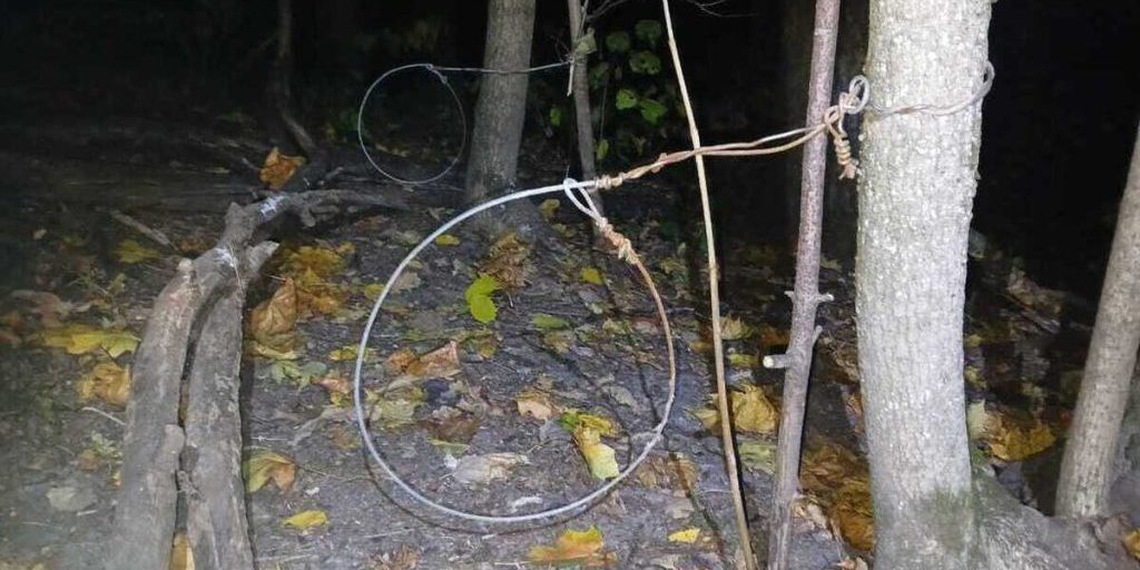 Под Курском изъяли запрещенные орудия для отлова животных