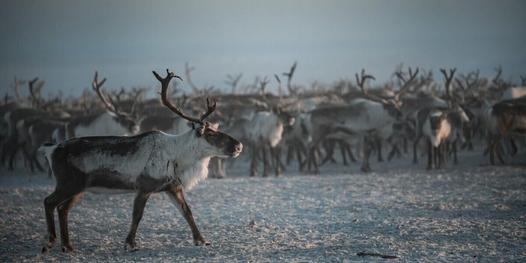 Вместе в цифровое будущее: стартует юбилейный конкурс «Ростелекома» для региональных ИТ-журналистов и блогеров