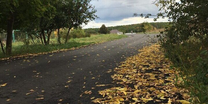 В Воронежскую область холодный циклон принесет дождь и сильный ветер