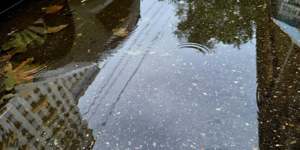 В субботу на Кубани ожидаются дожди и грозы