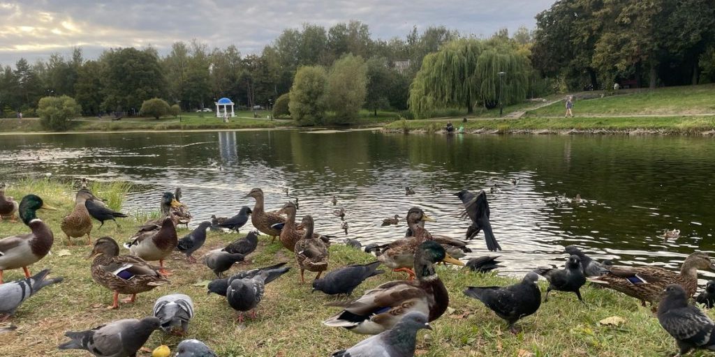 В Смоленск пришла настоящая осень