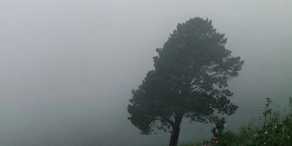 "Previsioni meteo: forte vento in arrivo sulla regione della Kuban"