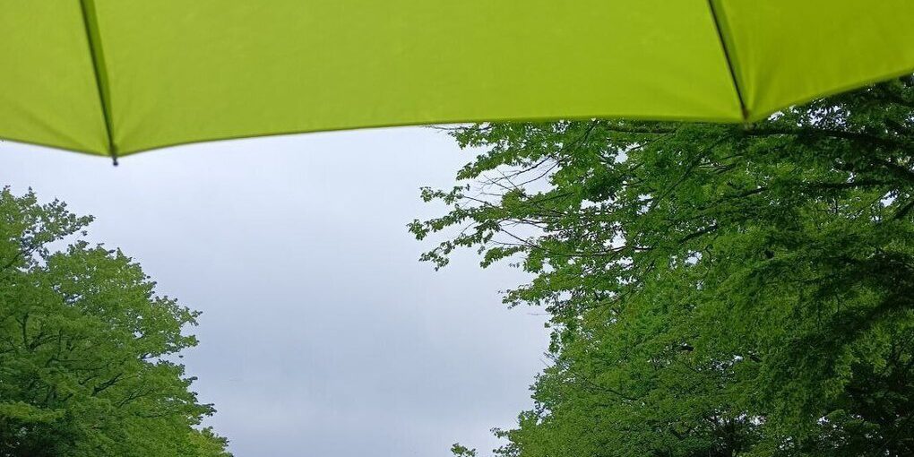 Previsioni Meteo Avverse per la Regione di Kaliningrad: Piogge e Allagamenti in Arrivo