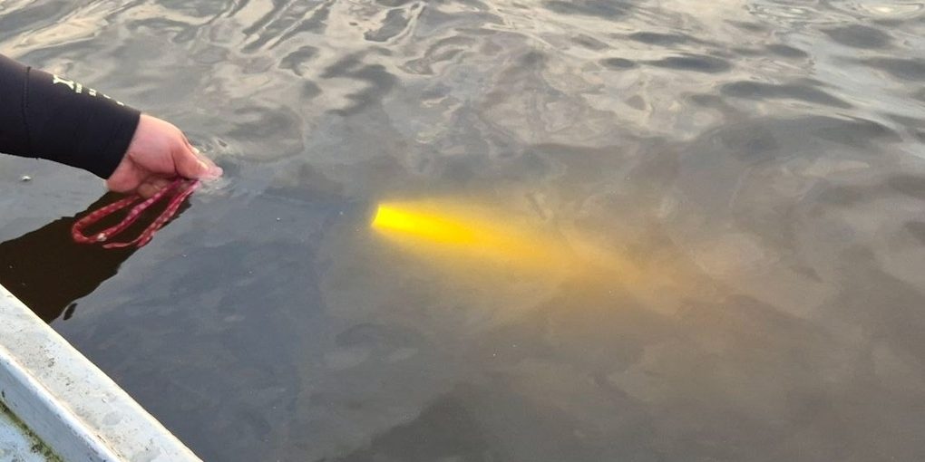 В Тверской области из озера достали тело пропавшего мужчины