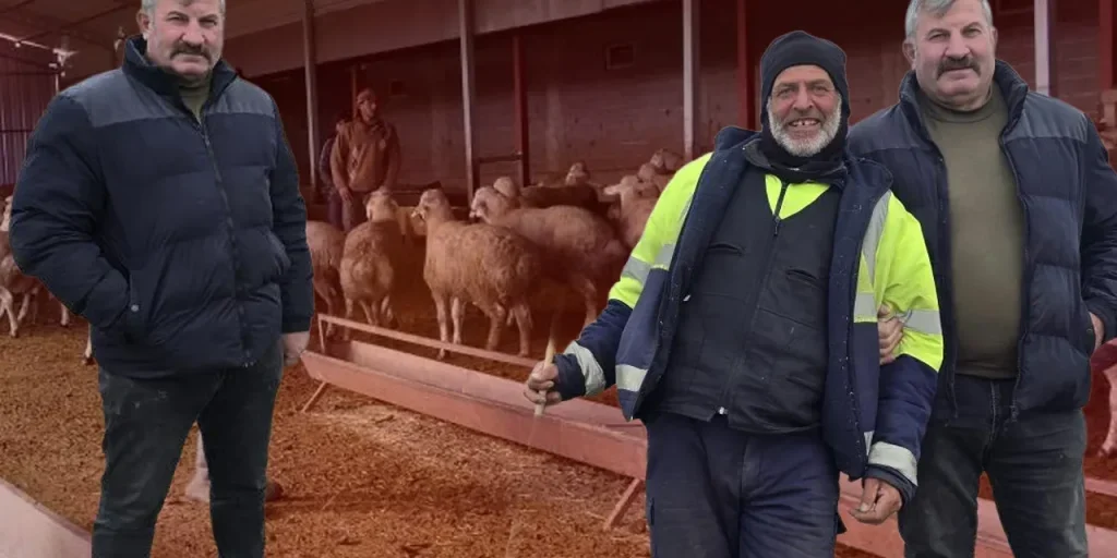 Ibrahim Tamer: 40 anni di allevamento di pecore, 3.000 animali e successo economico