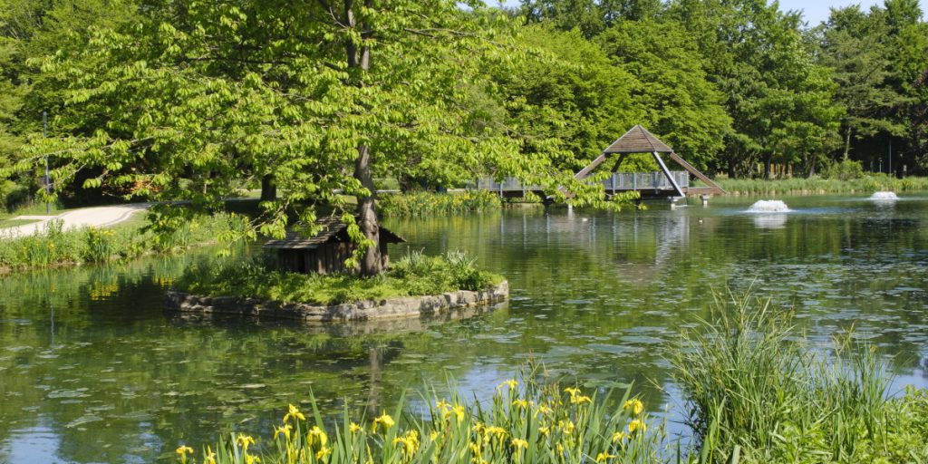Un addio commovente: la storia di Friedhelm e il suo ultimo saluto a un luogo speciale