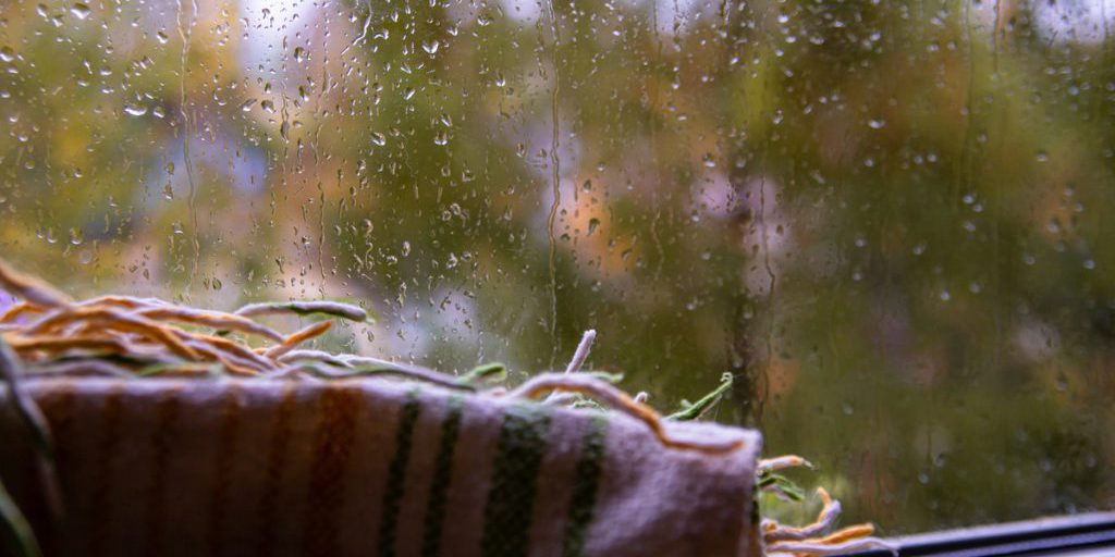 Дождливо будет в Карелии 9 октября