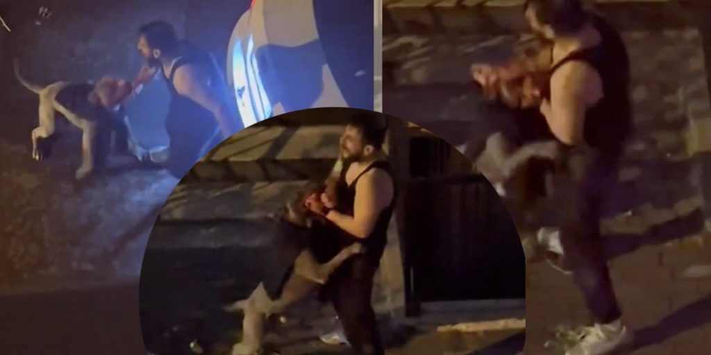 Bağırdı, yalvardı ama kurtulamadı! İstanbul'da pitbull dehşeti kamerada... Sahibinin kolunu parçaladı