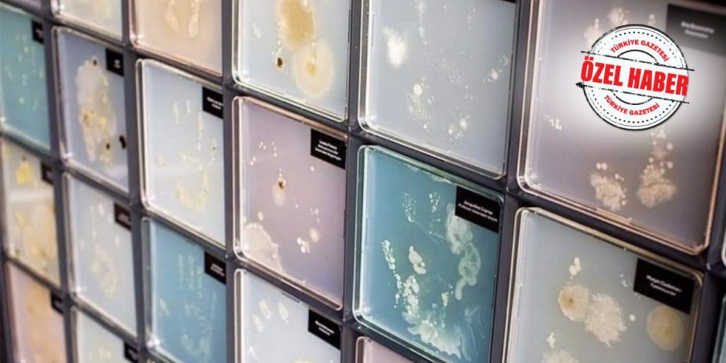 Bakteri müzesi! RSKK Patojen Bankasında bakteriler 71 yıldır saklanıyor