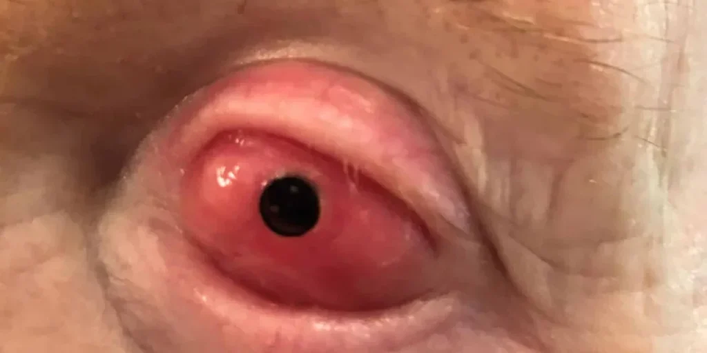 Richiesta di testo originale non ricevuta