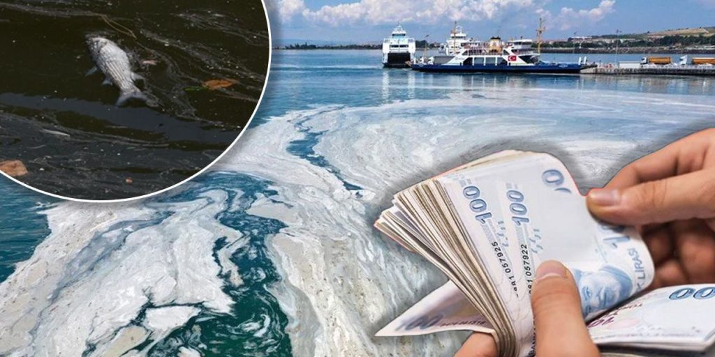 Balıkçılara müsilaj ödemesi: Tarım ve Orman Bakanlığından sevindiren karar yayınlandı