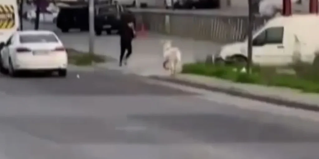 Richiesta di invio del testo originale per la riscrittura