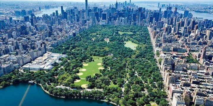 В городах США началась антиправительственная акция