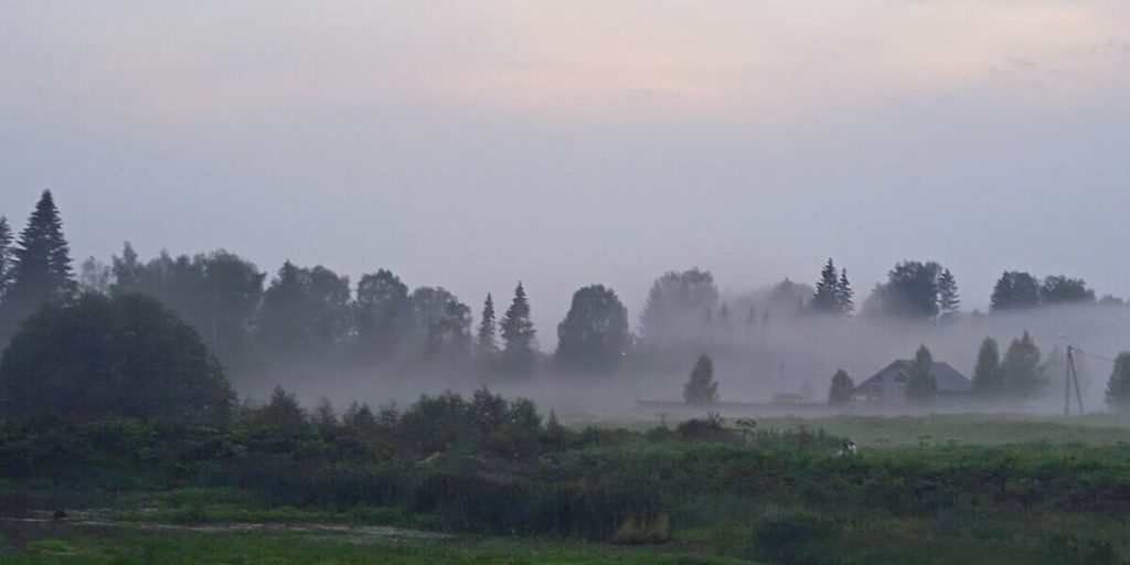 Россиянин заблудился в лесу и умер в российском регионе