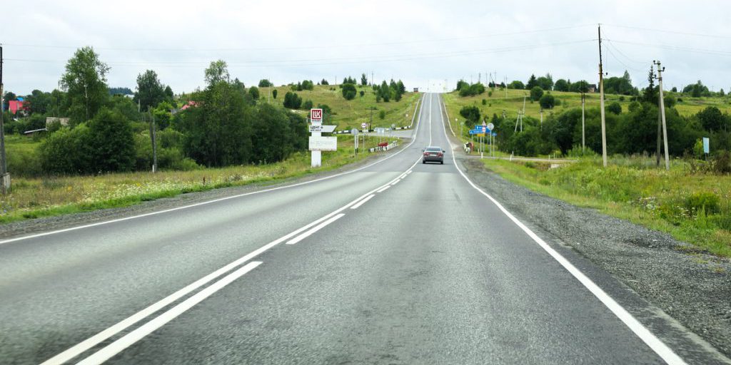Из-за строительства трассы на Урале звери начали заходить в города