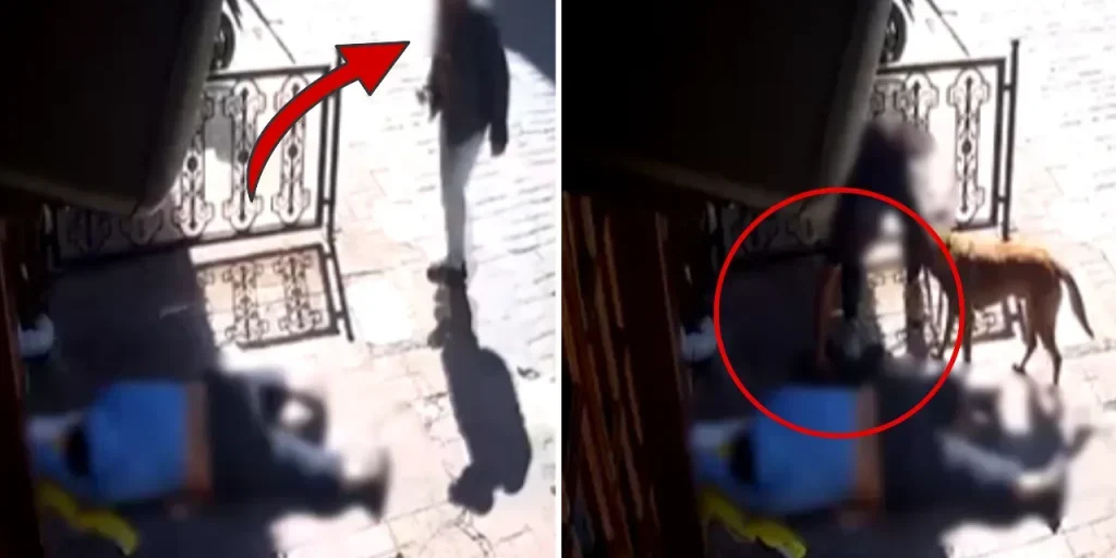 Furto a Beyoğlu: due persone arrestate dopo aver sottratto abbigliamento e telefono di un uomo svenuto