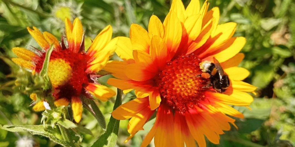 Сила магнитной бури 21 сентября составит 4 балла: не стоит начинать новые дела