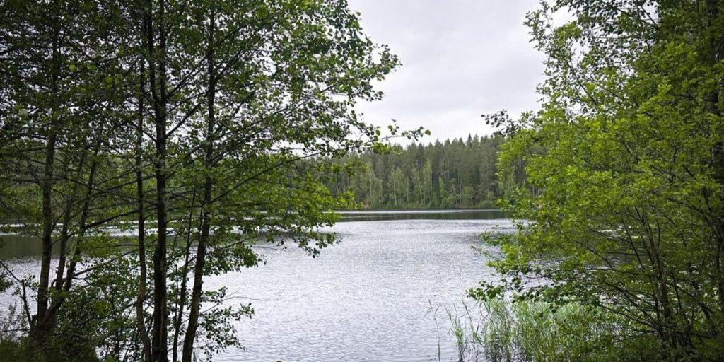 Centinaia di persone partecipano alla corsa nazionale Cross della nazione a San Pietroburgo per celebrare l'80° anniversario della Vittoria e l'Anno del Difensore della Patria
