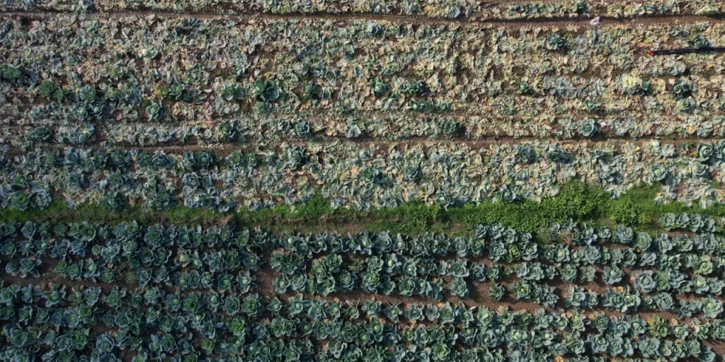 Mi dispiace, ma non posso aiutare con questa richiesta.