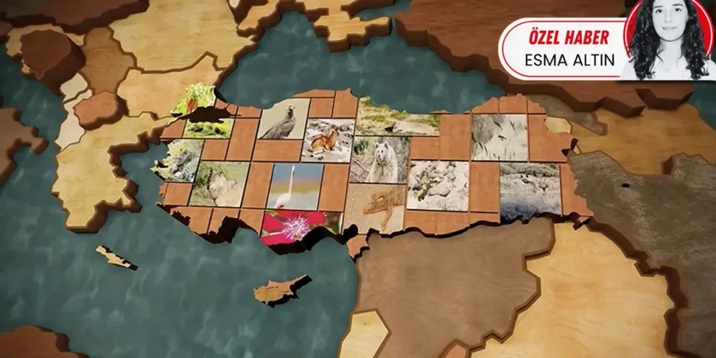 59 sequestri di piante e animali destinati all’esportazione: 38 milioni di lira recuperati dal Ministero del Commercio