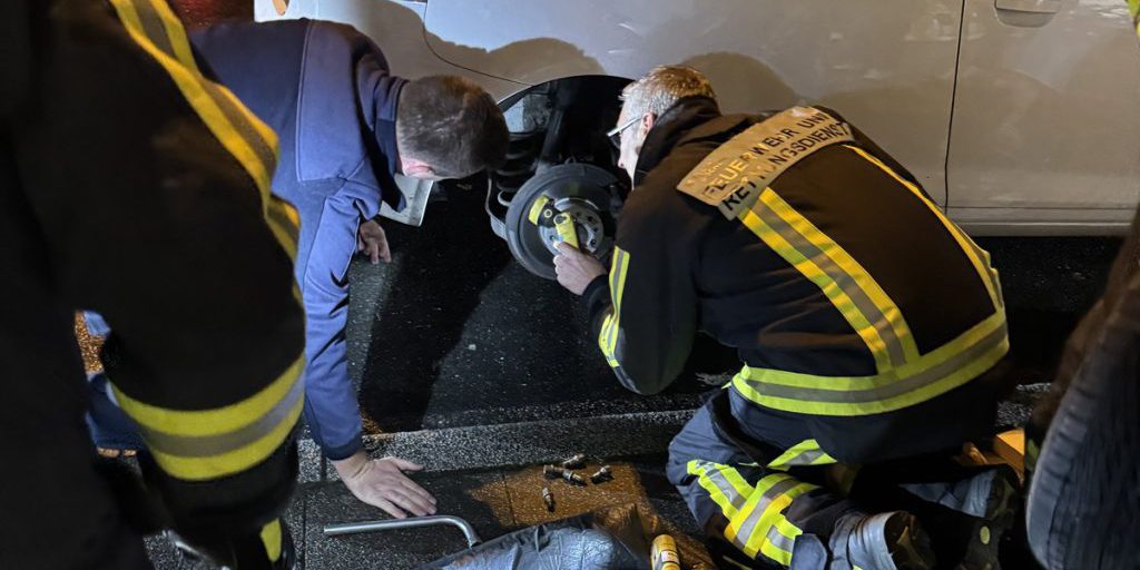 Katze gerät in Bochum unter die Räder – als Feuerwehr den Chip ausliest, wird’s vogelwild