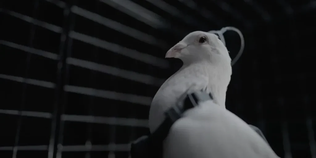 Russia testa colombe spionaggio con tecnologia avanzata