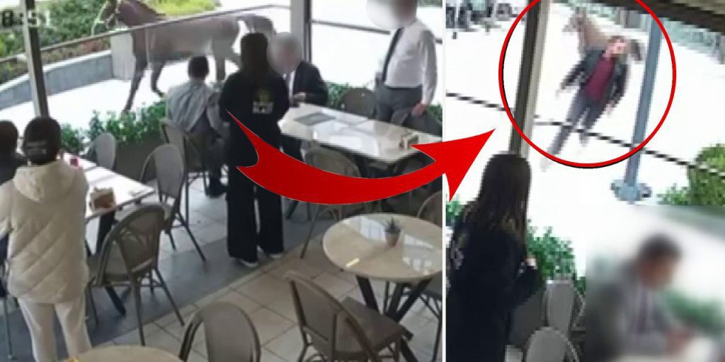 Cavallo in fuga a Istanbul: un evento inaspettato che ha lasciato tutti di stucco