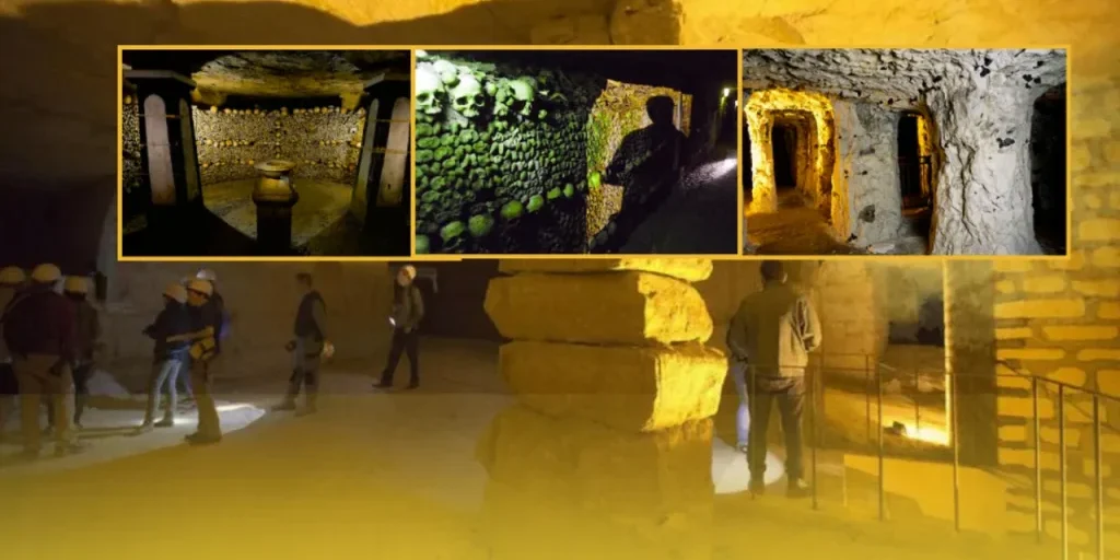 Richiesta di invio del testo originale per la traduzione e rielaborazione