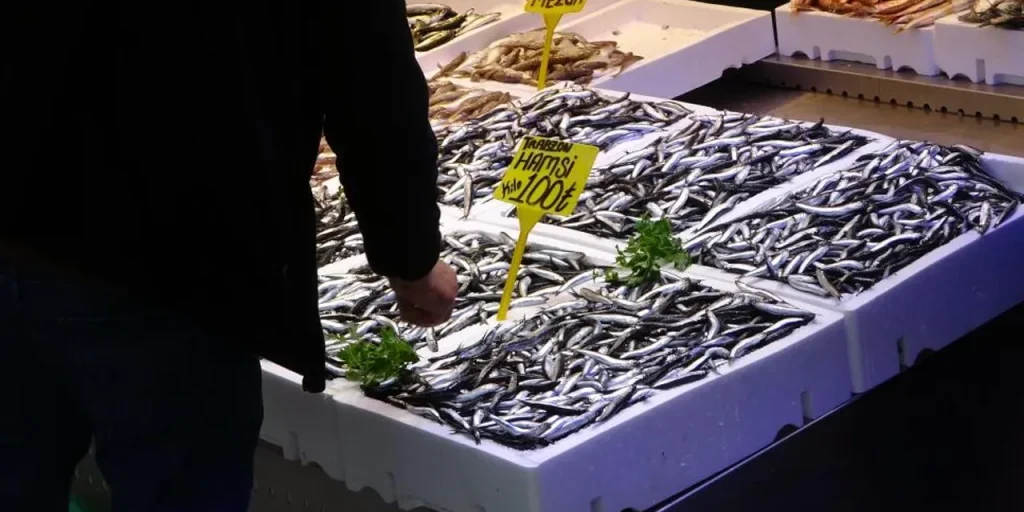 Sardine abbondanti ma in fine ciclo: prezzi alti riducono la domanda nel Mar Nero