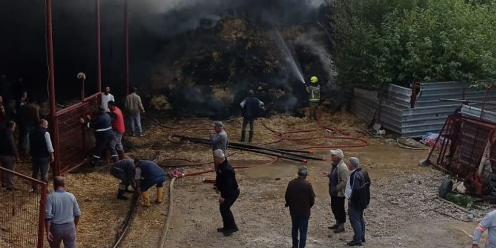 Bursa'da ahırda çıkan yangında onlarca küçükbaş hayvan telef oldu!