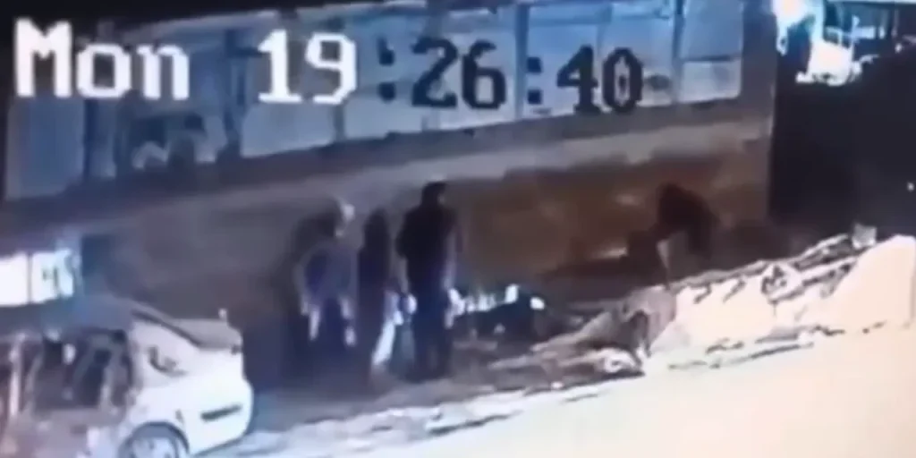 Cane randagio attacca tre persone a Bursa, vittime ferite