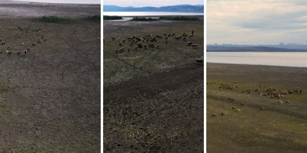 Büyükçekmece Gölü için çanlar çalıyor! Kuraklık başladı, su seviyesi diplerde