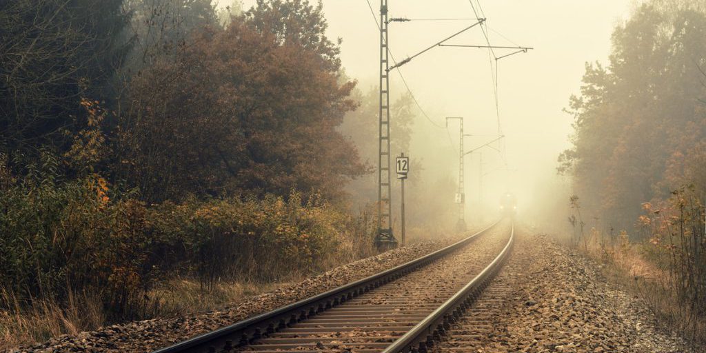 «Железные дороги Новороссии» в 2025 г. перевыполнили план грузоперевозок на 14%