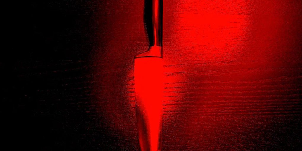 Орловца приговорили к 2 годам колонии за удар ножом соседу