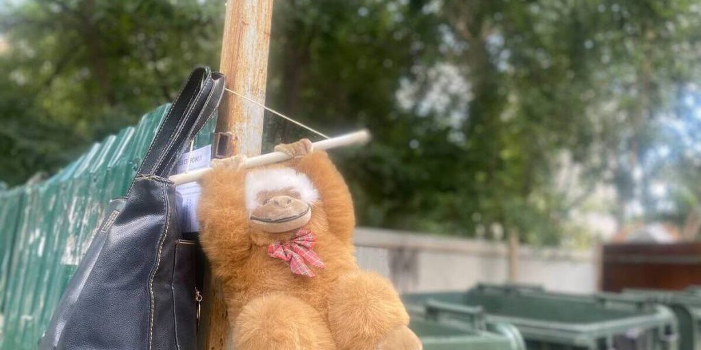 Ispezione degli spazi verdi a Rjazan': miglioramento della qualità della vita per i residenti