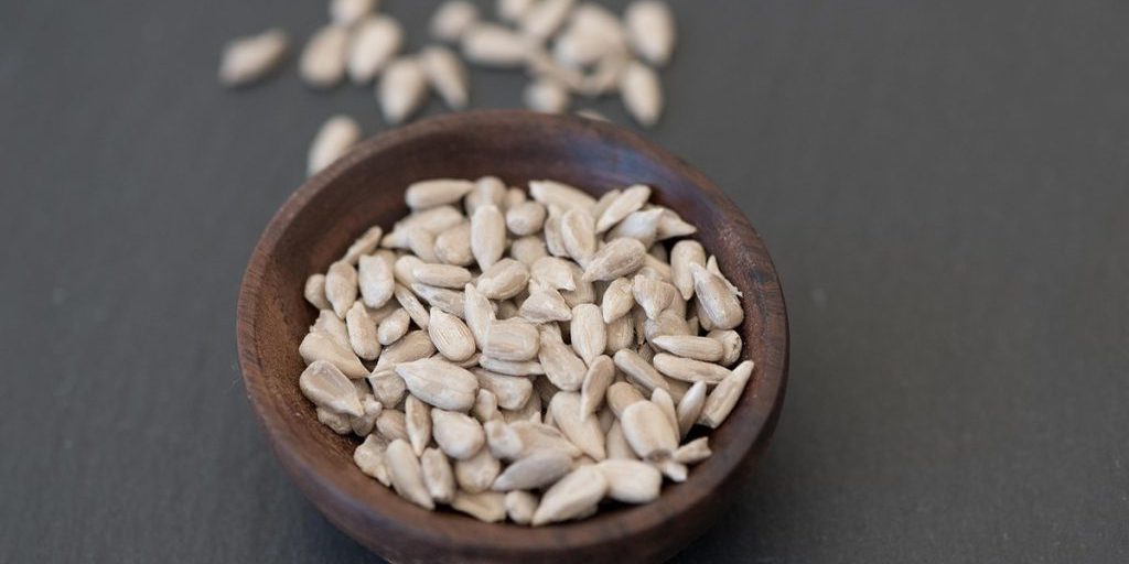 La Connessione tra Appendicite e Semi di Girasole Smentita dalla Comunità Medica