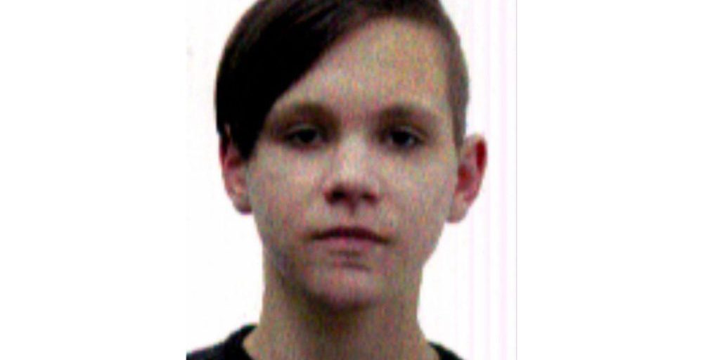 "Scomparsa di Mikhail Andreevich Sokolov: la comunità si mobilita per ritrovare il ragazzo scomparso"