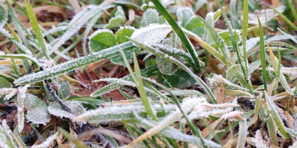 В Мурманской области 15 октября ожидаются заморозки и порывистый ветер