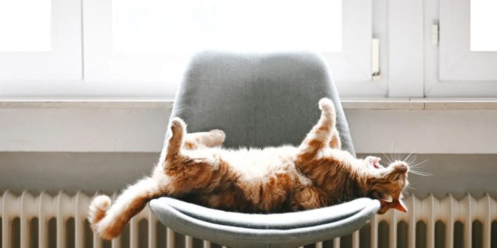 Avvio del riscaldamento a Petrozavodsk: sfide e strategie per garantire il comfort e la sicurezza dei cittadini durante l'inverno russo