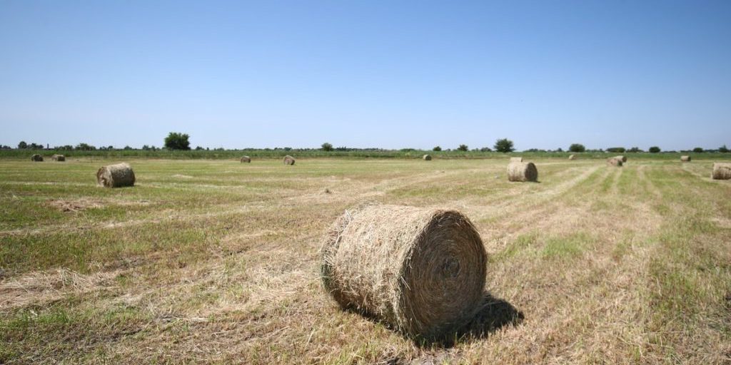 Народные приметы: чего нельзя делать 13 октября, в день Михаила Соломенного