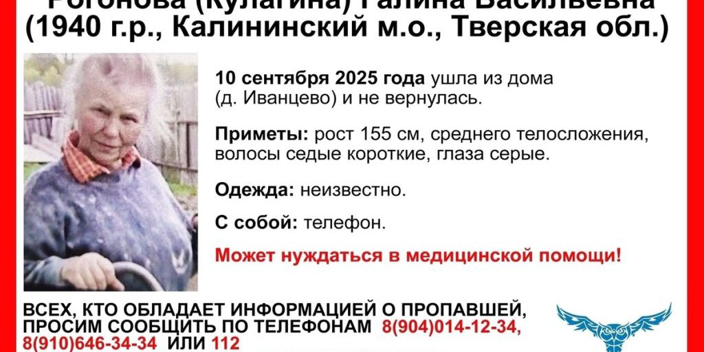 "Ricerca urgente di una donna con demenza: l'aiuto dei volontari 'Sovы' nella regione di Tver"