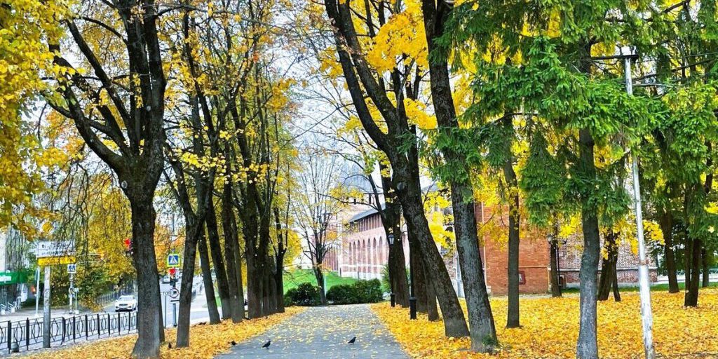 Previsioni meteo per Smolensk il 23 ottobre 2025: temperature fresche e condizioni variabili