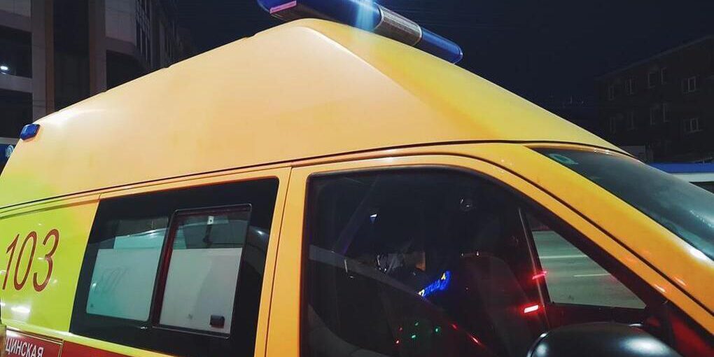 Мальчик из Сочи получил инвалидность после нападения двух хаски